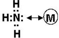 Sự tạo thành phức của kim loại với Amoniac (NH3)