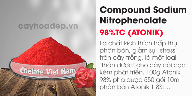 Bán chất kích thích hấp thụ phân bón Compound Nitrophenolate