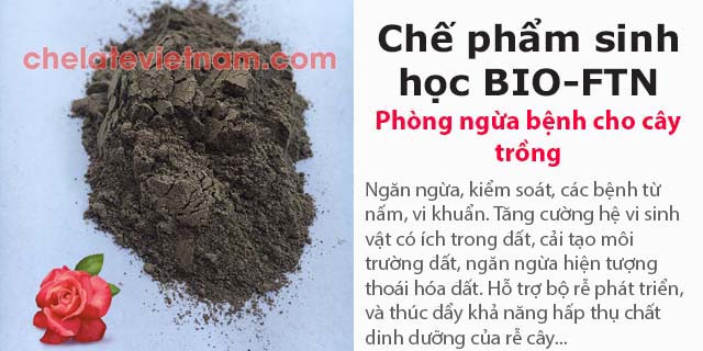 Bán Chế phẩm sinh học BIO-FTN ngăn ngừa bệnh cho cây trồng