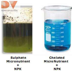 Khi phối trộn phân NPK (loại tan hoàn toàn) với trung, vi lượng vô cơ (TE) trung và vi lượng dạng chelate (Chelate TE)