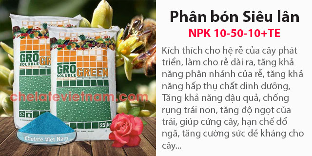 Bán Phân bón lá Siêu lân NPK 10-50-10+TE - Kích hoa, kích rễ, củ