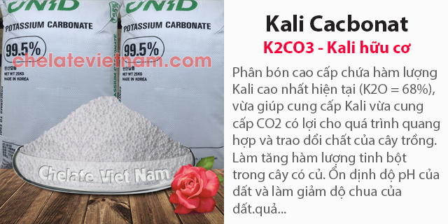 Bán Kali Cacbonat (K2CO3 - Kali hữu cơ) K2O = 68%