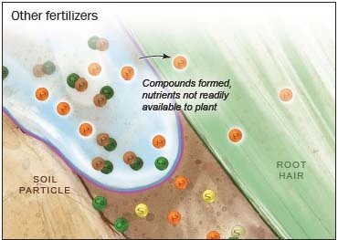 Với các loại phân bón vô cơ thông thường trong đất, các khoảng chất luôn bị động (pH đất, phản ứng kết tủa) không sẵn sàng cho cây trồng hấp thụ.
