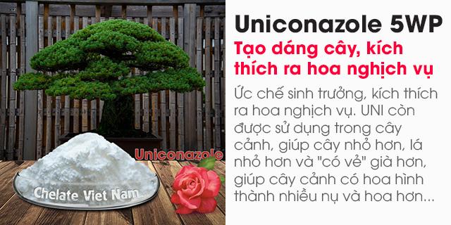 Bán Uniconazole 5WP (Ức chế sinh trưởng, tạo dáng cây)