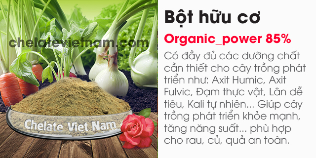 Bán bột hữu cơ cao cấp