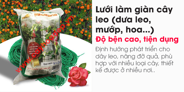 Bán 2m x 3m - Lưới làm giàn cây leo (dưa leo, mướp, hoa...)