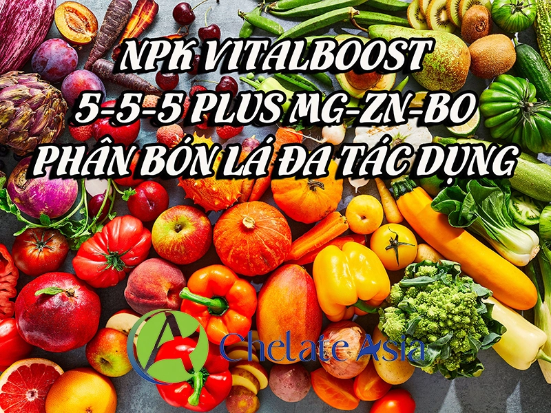 NPK VitalBoost 5-5-5 Plus Mg-Zn-Bo – Phân bón lá đa tác dụng