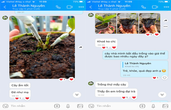 Phản hổi của Anh Lê Thành Nguyên - KH Chelate VietNam về sử dụng giá thể ươm và trồng trên cây hoa lan