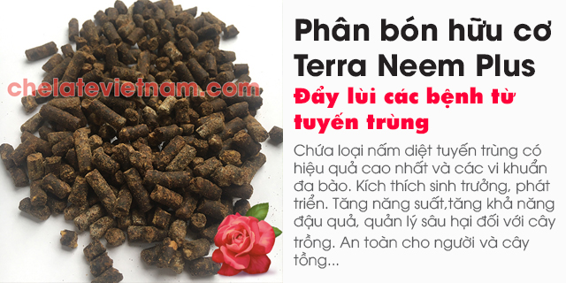 Bán Phân bón hữu cơ Terra Neem Plus - Đẩy lùi các bệnh từ tuyến trùng