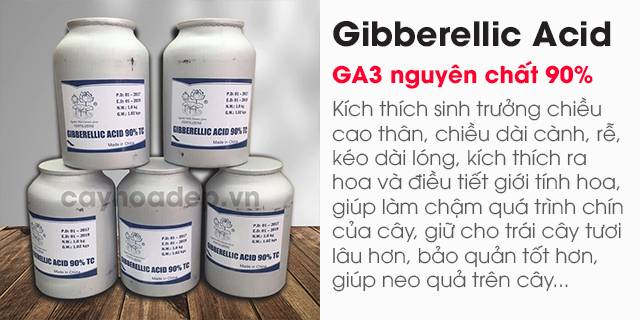 Bán Gibberellic Acid (GA3)