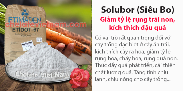 Bán Solubor - ETIDOT (Siêu Bo) tan trong nước