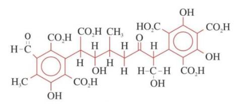 Công thức cấu tạo Acid Fulvic