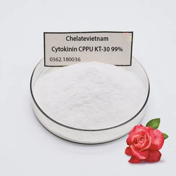 Cytokinin CPPU KT-30 99% (Tăng kích thước trái cây) Forchlorfenuron 