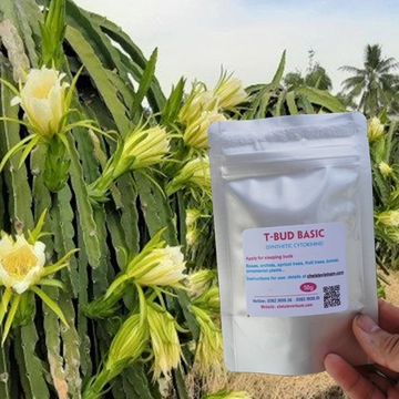 T-BUD BASIC cytokinin synthetic (Hóa chất cơ bản kích chồi cây)