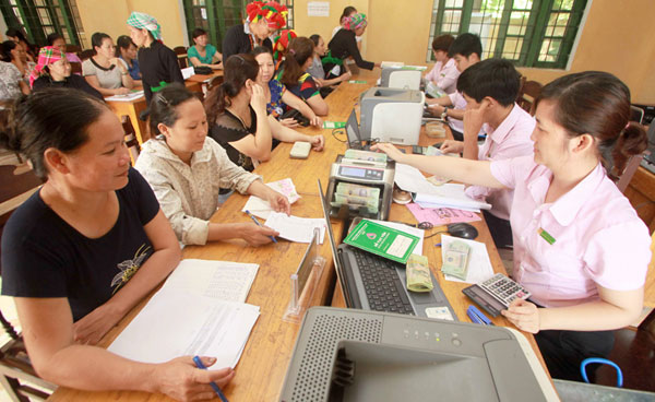 lao cai: trong chuoi tieu, trong qua tram mat nha nong lam giau hinh anh 1