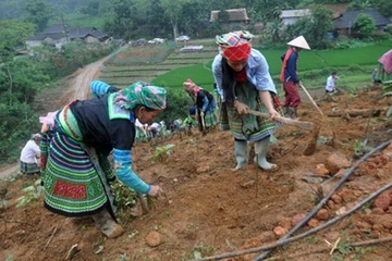 Về bản vùng cao Yên Bái xem đồng bào Mông làm nông thôn mới