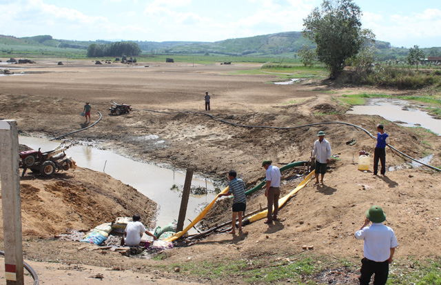 chuyen la dak lak: noi lu kinh hoang, noi 1.000 ha cay trong 