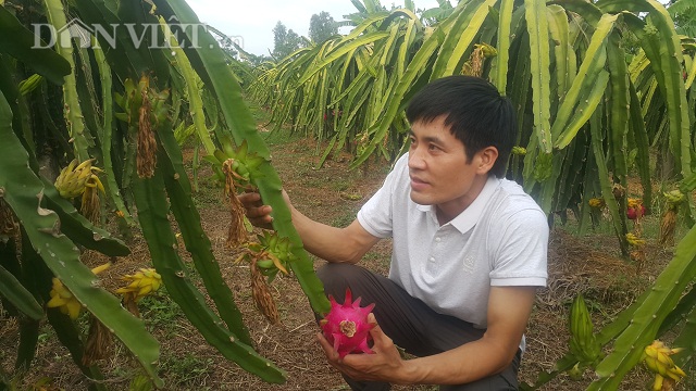 ninh binh: thay giao bo nghe ve que 