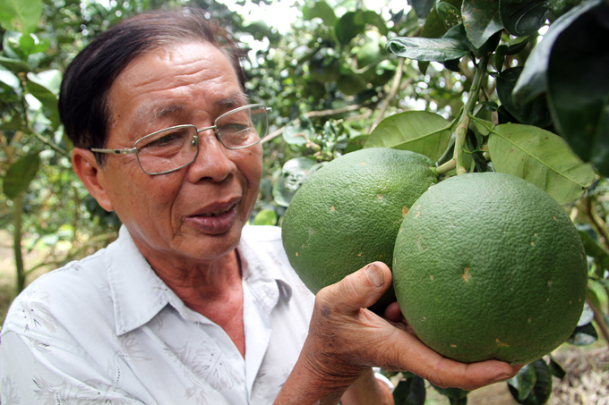 ben tre: bi quyet lai tien ty/nam la...lam nguoc doi voi thien ha hinh anh 2