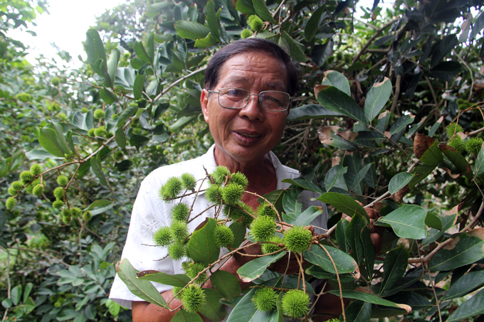 ben tre: bi quyet lai tien ty/nam la...lam nguoc doi voi thien ha hinh anh 1