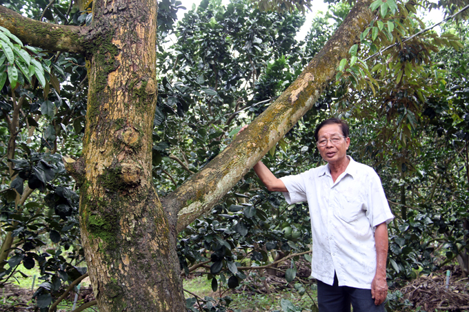 ben tre: bi quyet lai tien ty/nam la...lam nguoc doi voi thien ha hinh anh 3