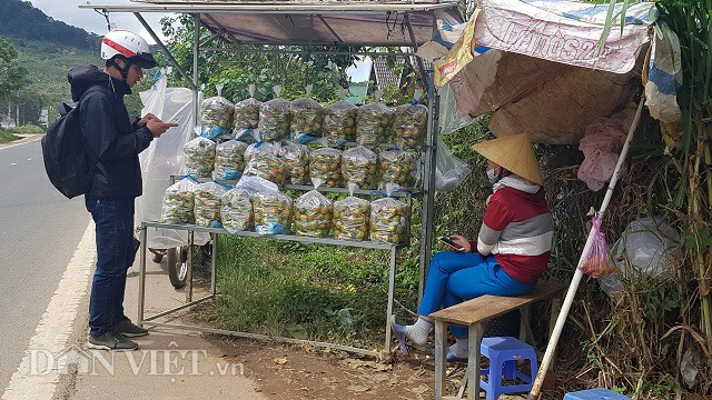 hong gion da lat dau mua gia cao, tang 5.000 dong/kg hinh anh 3