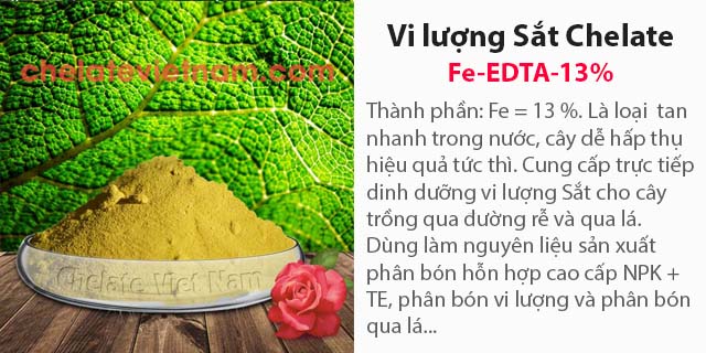 Ban Vi lượng Sắt Chelate (Fe-EDTA-13) tan hoàn toàn trong nước