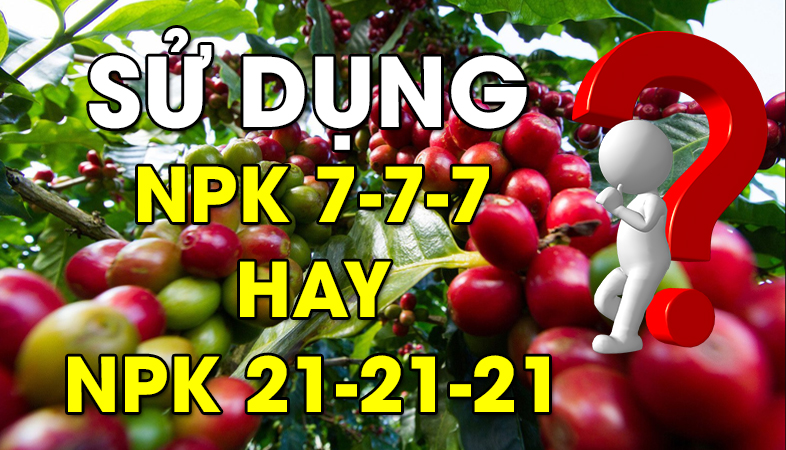 Sử dụng NPK hàm lượng cao hay NPK hàm lượng thấp?