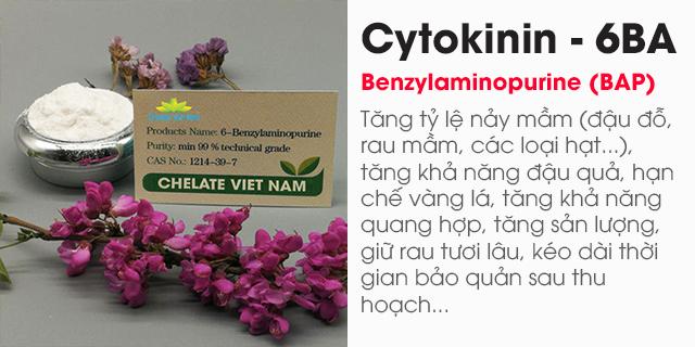 https://chelate.com.vn/cytokinin-6ba-benzylaminopurine-hormone-6-bap.html