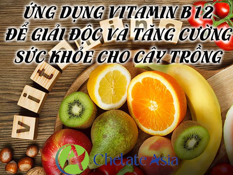 Ứng dụng vitamin b12 để giải độc và tăng cường sức khỏe cho cây trồng