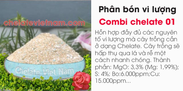 bán Phân bón vi lượng Combi Chelate 01