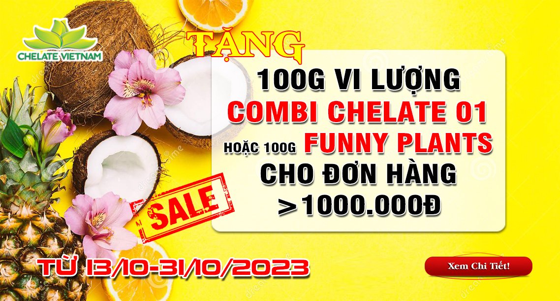 Tặng ngay 100g vi lượng Combi 01 hoặc 100g Funny Plant cho đơn hàng có giá trị từ 1.000.000đ