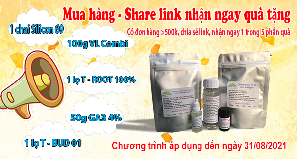 Mua hàng - Share Link nhận ngay quà tặng