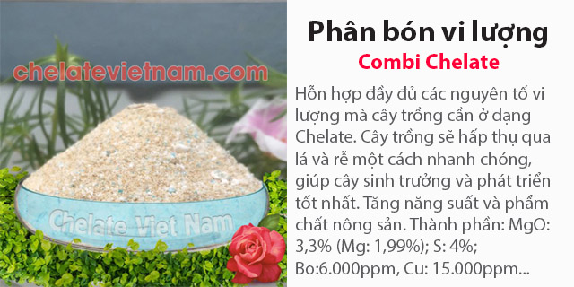 Bán Phân bón vi lượng Combi Chelate