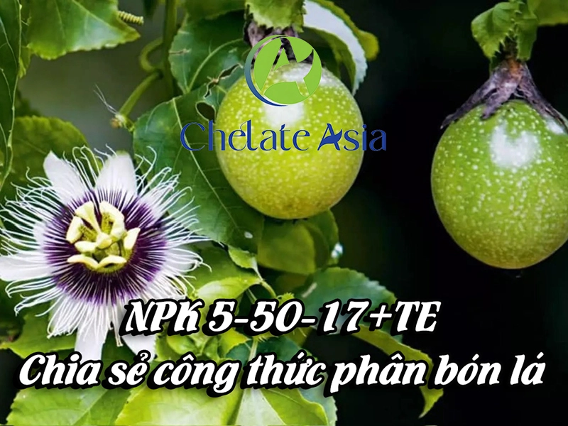 NPK 5-50-17+TE - Chia sẻ công thức phân bón lá