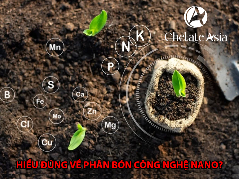 Hiểu đúng về phân bón công nghệ Nano