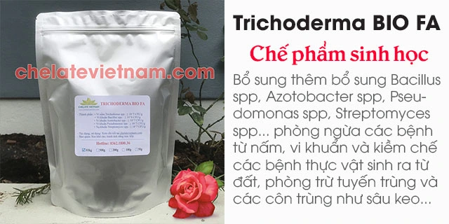 Bán Trichoderma BIO FA (bổ sung Bacillus spp, Azotobacter spp, Pseudomonas spp, Streptomyces spp)