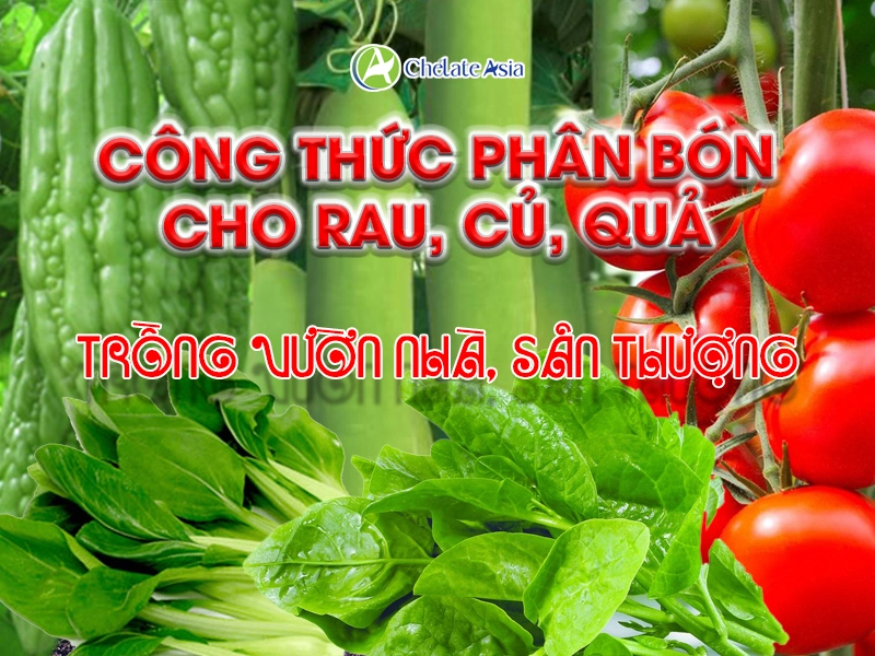 Công thức phân bón cho rau, củ, quả