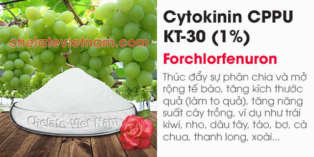 Ban Cytokinin CPPU KT-30 1% (Tăng kích thước trái cây) Forchlorfenuron