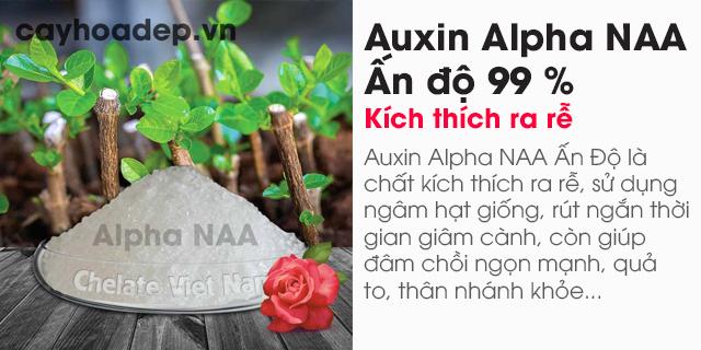 https://chelate.com.vn/auxin-alpha-na-naa-tan-trong-nuoc-chat-kich-thich-ra-re.html