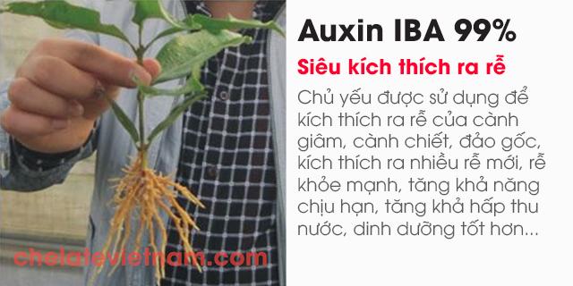 Bán Auxin Indole-3-butyric acid (IBA 99%) (Siêu kích thích ra rễ)