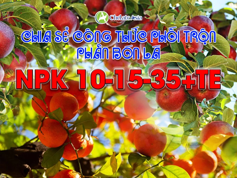 Công thức phân bón lá NPK 10-15-35+TE kích hoa, nuôi to trái, chắc hạt tự phối trộn