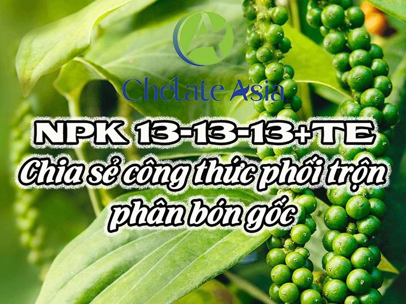 NPK 13-13-13+TE - Chia sẻ công thức phối trộn phân bón gốc