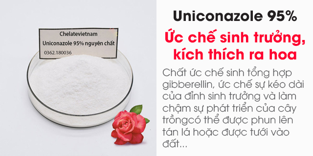 Bán Uniconazole 95% nguyên chất (Ức chế sinh trưởng, kích thích ra hoa trái vụ)