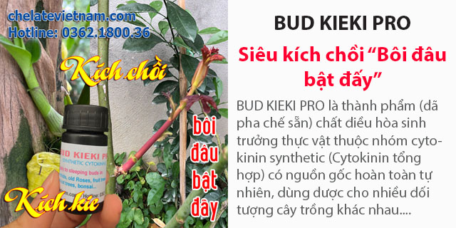 Bán BUD KIEKI PRO - Siêu kích chồi (Kie phong lan, mai vàng, hoa hồng...)