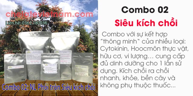 bán Combo 02: Bộ nguyên liệu phối trộn sản phẩm siêu kích chồi (tặng kèm công thức)