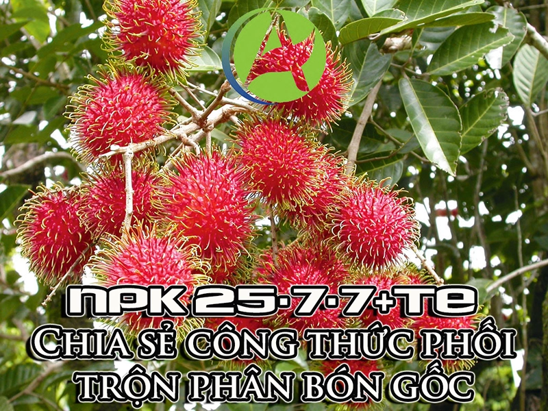 NPK 25-7-7+TE - Chia sẻ công thức phối trộn phân bón gốc