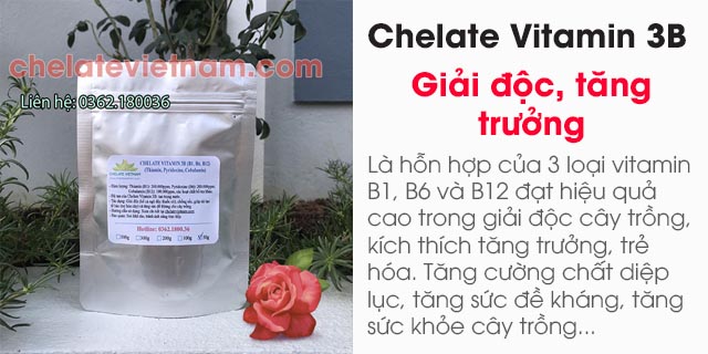 Bán Chelate Vitamin 3B (B1, B6, B12) - Siêu giải độc, siêu kích chồi, dưỡng cây