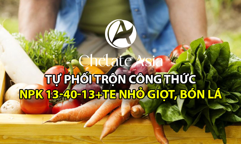 NPK 13-40-13+TE - Tự phối trộn phân bón lá, tưới nhỏ giọt tan hoàn toàn cực kỳ đơn giản, tiết kiệm