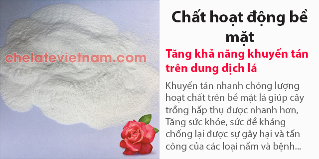 Bán Chất hoạt động bề mặt (Tăng khả năng khuếch tán dung dịch trên bề mặt)